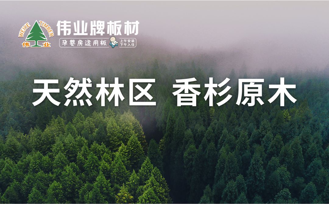 伟业牌板材|匠心制造，给您100%宅家安全感